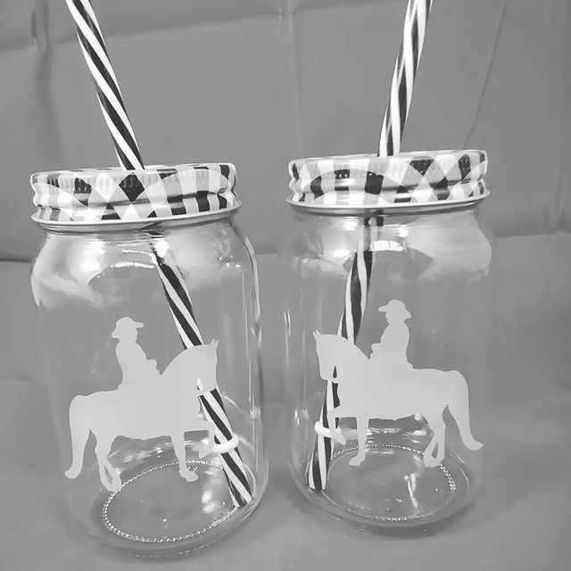 Western Sippy 18 ounce Glasses With Straw